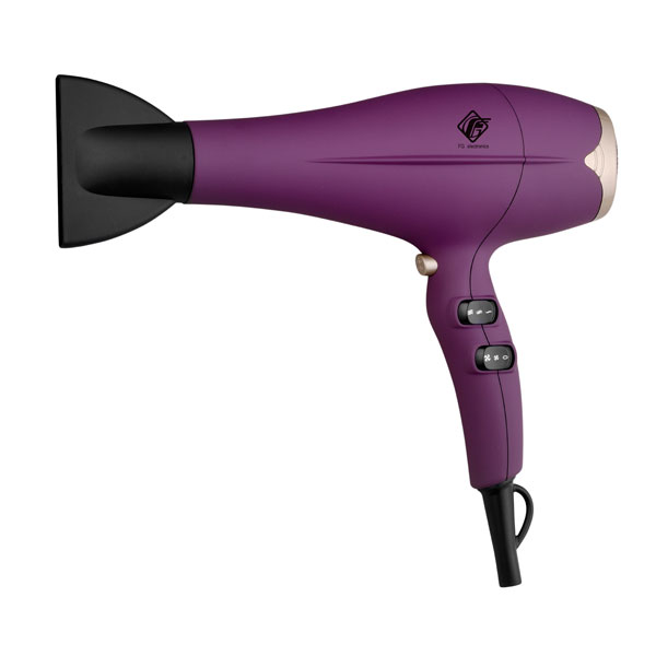 Hair dryer FS 08